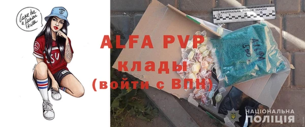 стафф Алексин