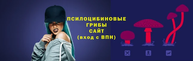 хмурый Алзамай