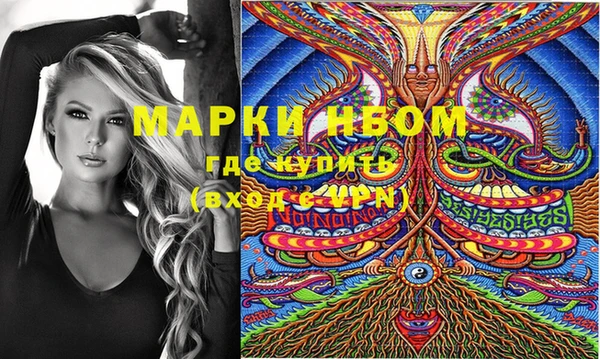 стафф Алексин