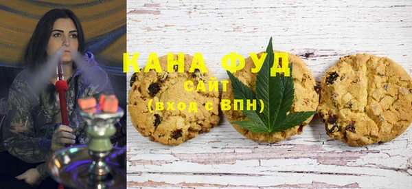 хмурый Алзамай