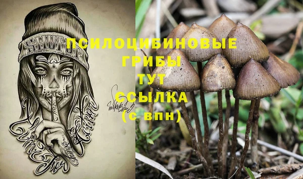 хмурый Алзамай