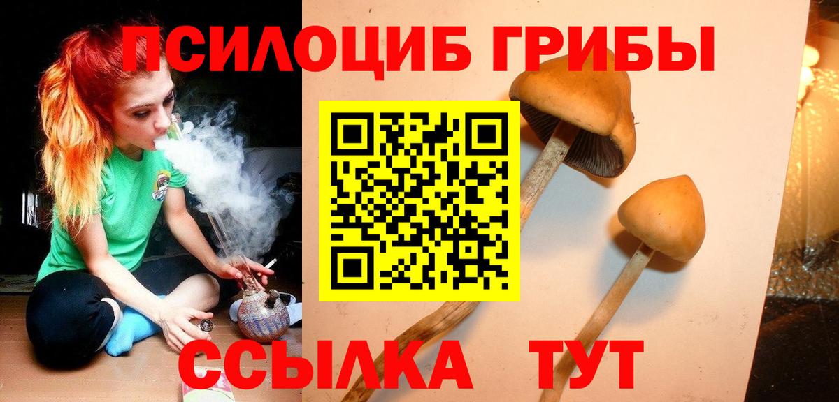 Псилоцибиновые грибы мицелий  Вход с VPN  Псилоцибиновые грибы прущие грибы  Чебоксары 